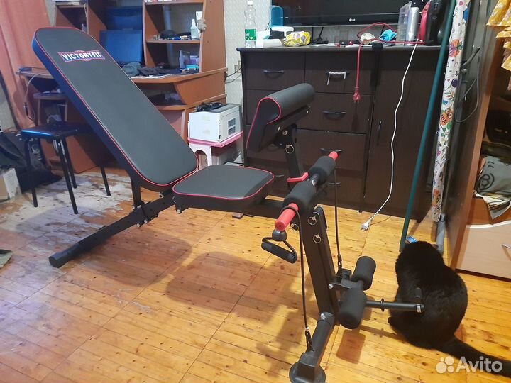 Скамья для занятия физ культурой