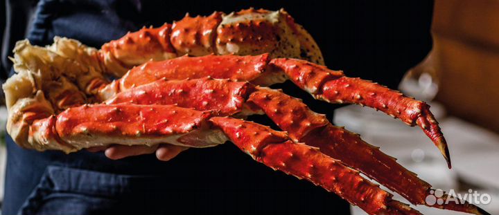 Краб камчатский,краб стригун, краб камча