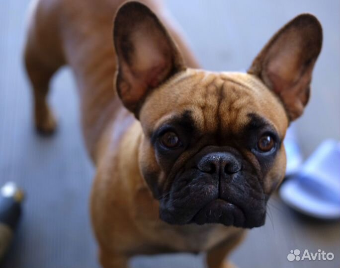 Объектив fujifilm xf 35mm f2