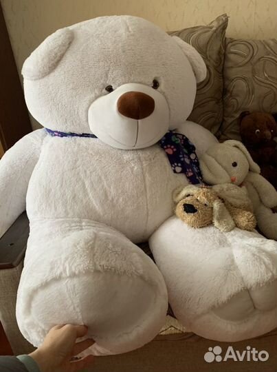 Плюшевый медведь