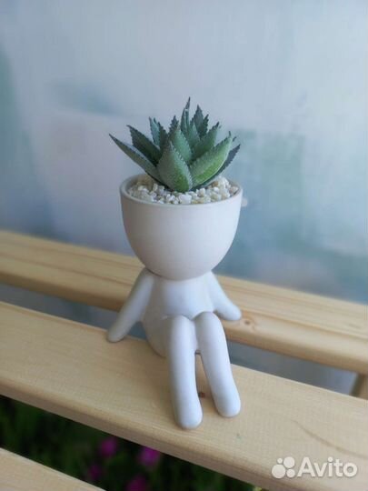 Суккулент искусственный