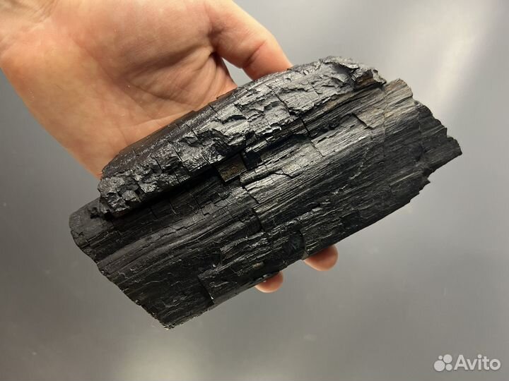 Окаменелое дерево (30)