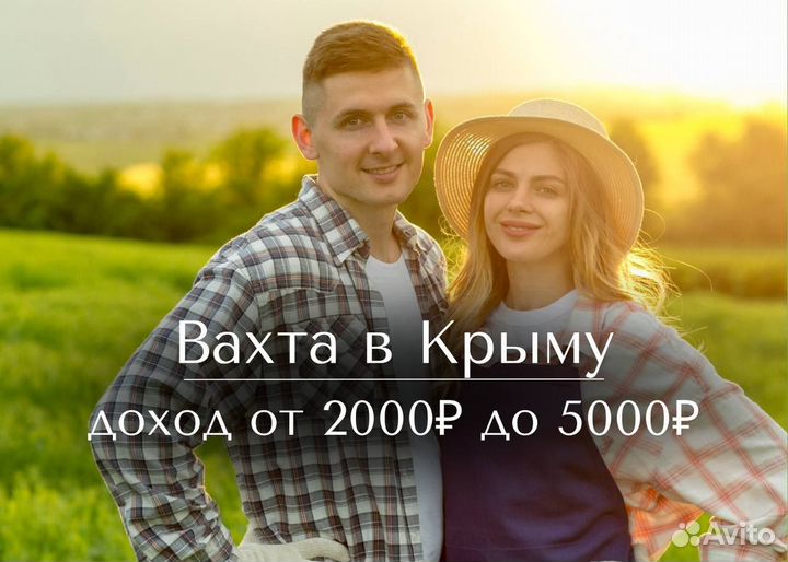 Сборщик яблок. Вахта с проживанием