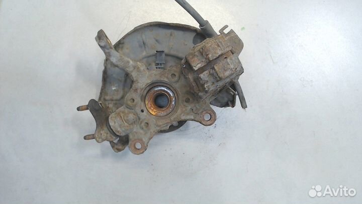 Ступица (кулак, цапфа) Seat Leon 2, 2008