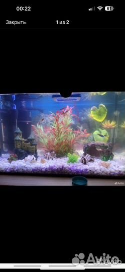 Аквариум с рыбками