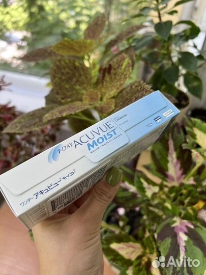Контактные линзы 1-Day Acuvue Moist -5,5