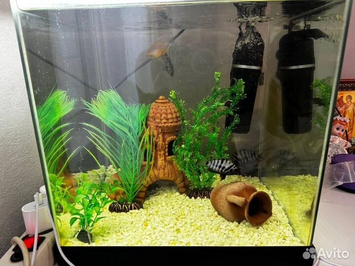 Морской аквариум комплект