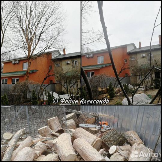 Удаление, спил, вырубка деревьев на участке