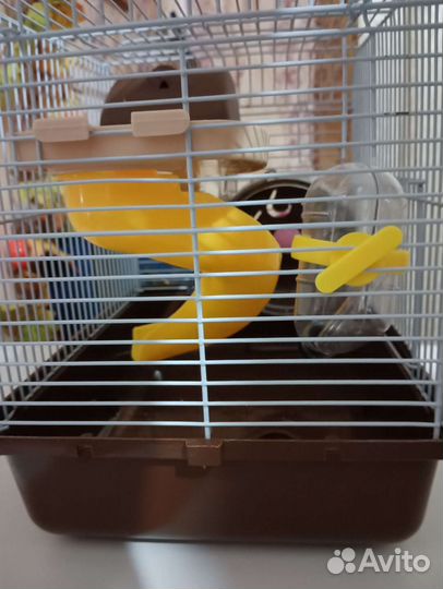 Клетка для хомяка