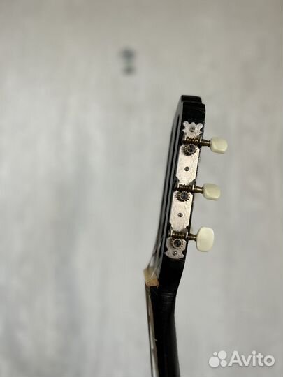 Акустическая гитара и чехол