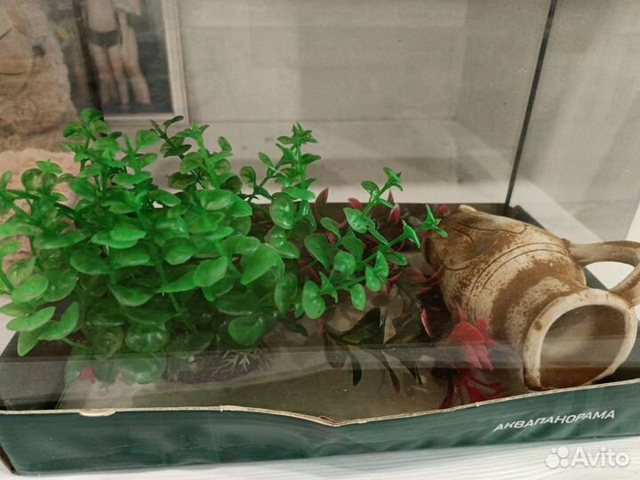 Аквариум 10 литров Колпино