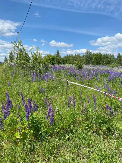 Участок 20 сот. (ИЖС)