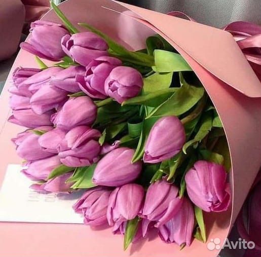 Тюльпаны к 8 марта розница