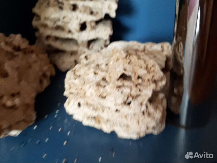 Камень для аквариума