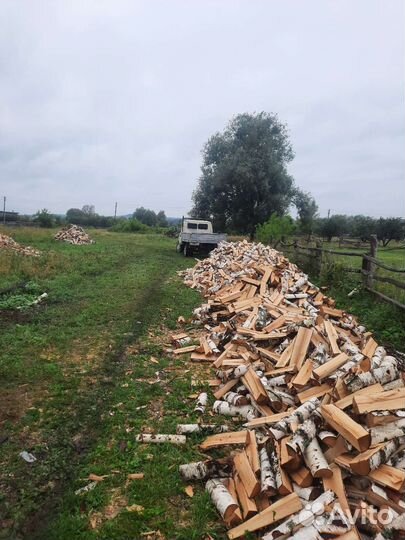Доставка дров колотых берёза