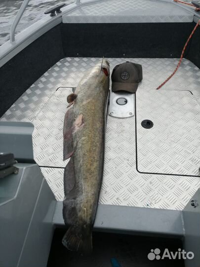 Рыбалка с гидом в самаре