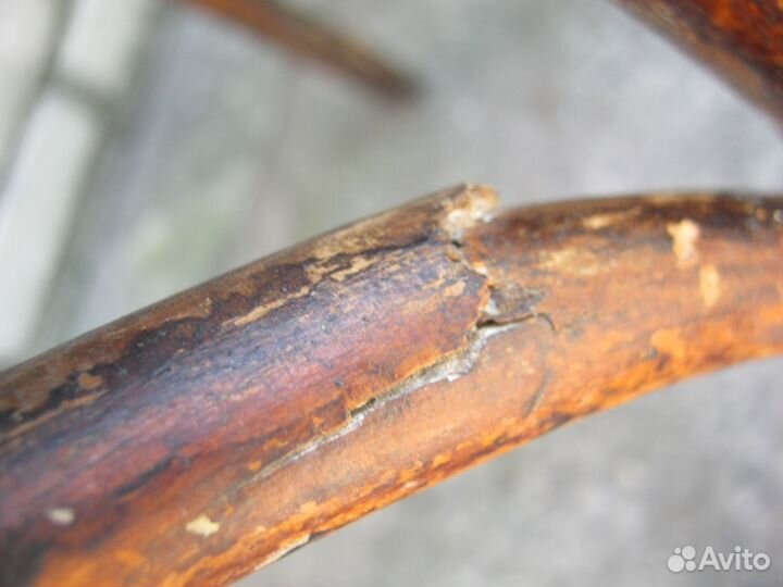 Венские старинные стулья