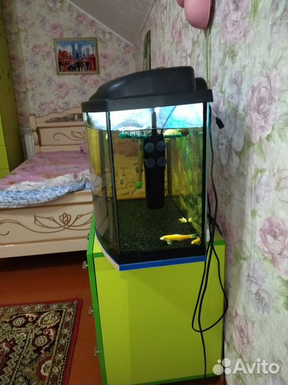Аквариум