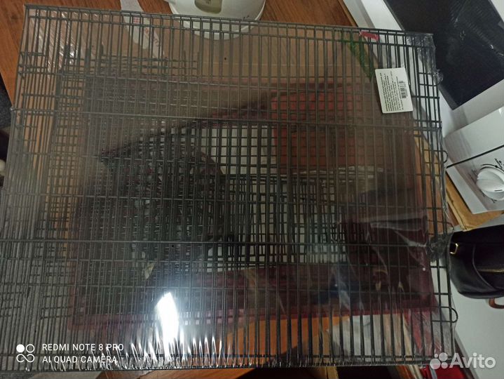 Для грызунов