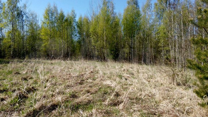 Участок 54 сот. (СНТ, ДНП)