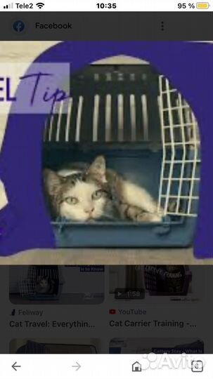 Товары для домашних животных