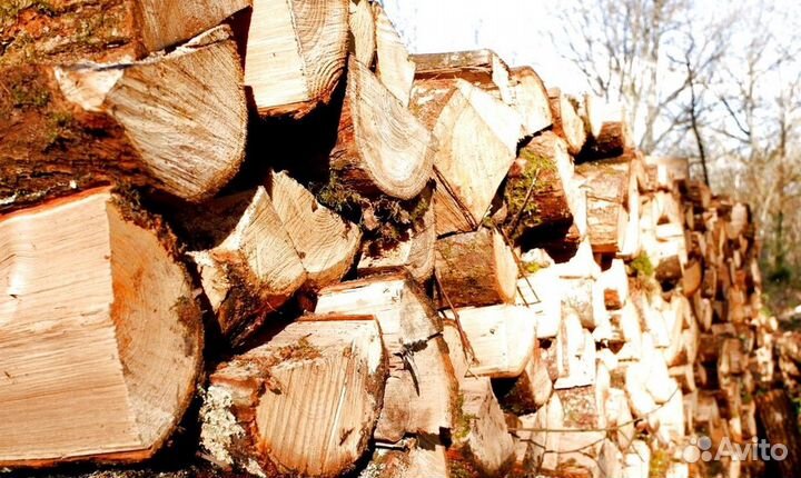 Дрова для гриля