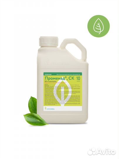 Променад, ск