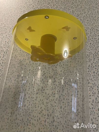 Ферма для выращивания бабочек. Бабочкарий