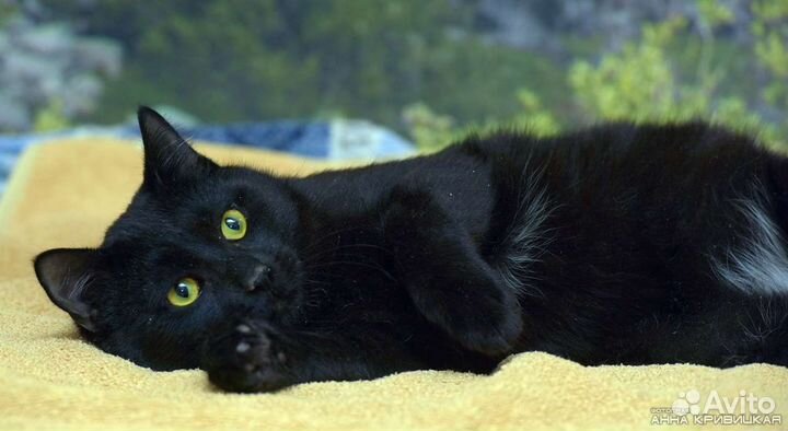 Меня предали