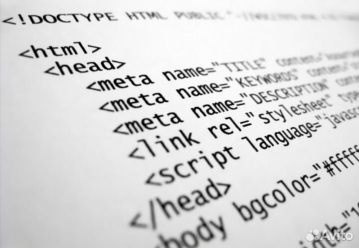 Обучение Веб Программированию и Разработке Сайтов