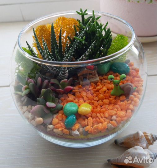 Флорариум. подарки. цветы