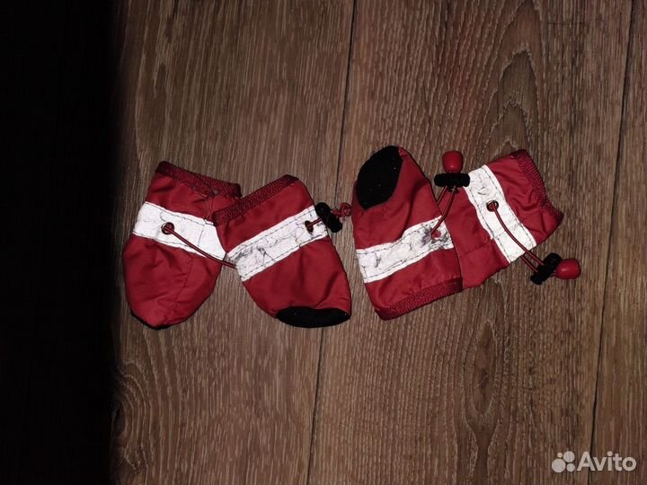 Одежда для собак