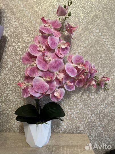 Орхидея латекс