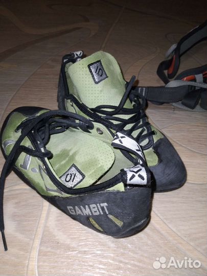 Скальные туфли