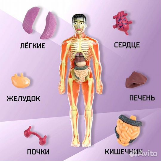 Эврики Научный опыт 