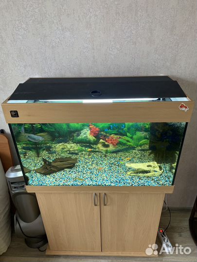 Аквариум