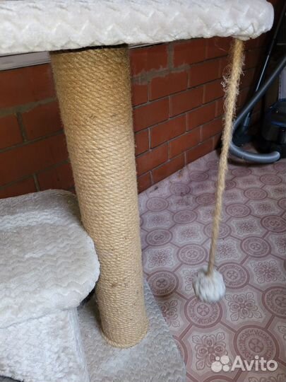 Когтеточка домик для кошки бу