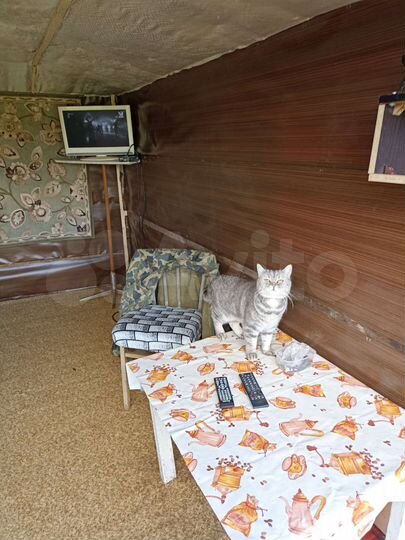 Дача 10 м² на участке 1 сот.