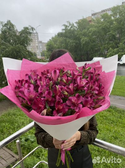 Шикарный букет из голландских Альстромерии