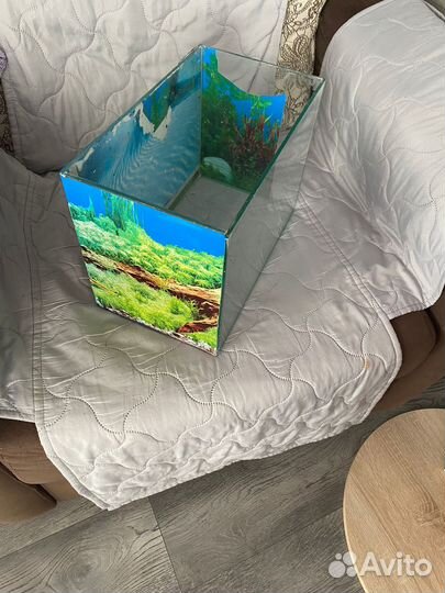 Аквариум
