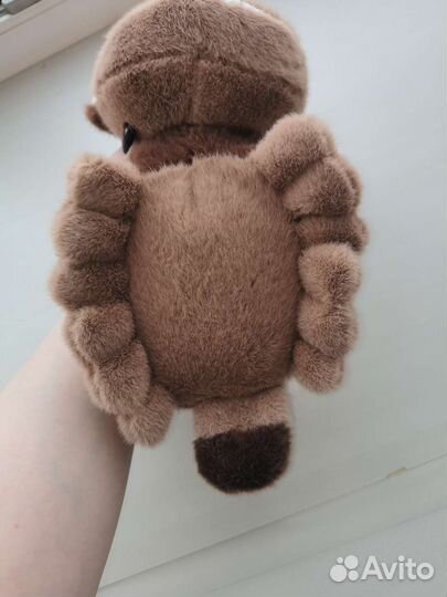 Котобус, Хаяо Миядзаки, аниме, мой сосед Тоторо