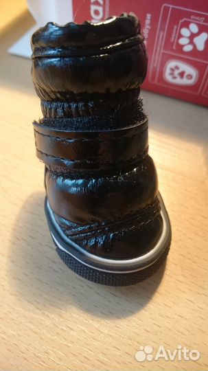 Обувь для собак