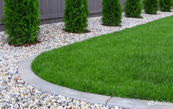 Рулонный газон с доствкой