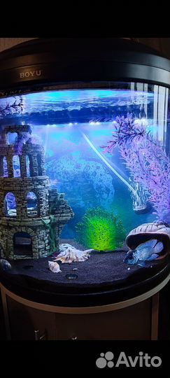 Аквариум с тумбой