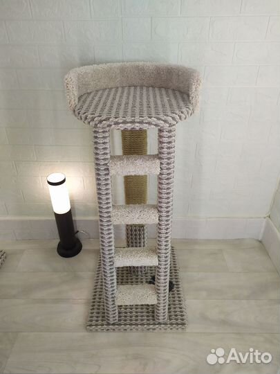 Когтеточка