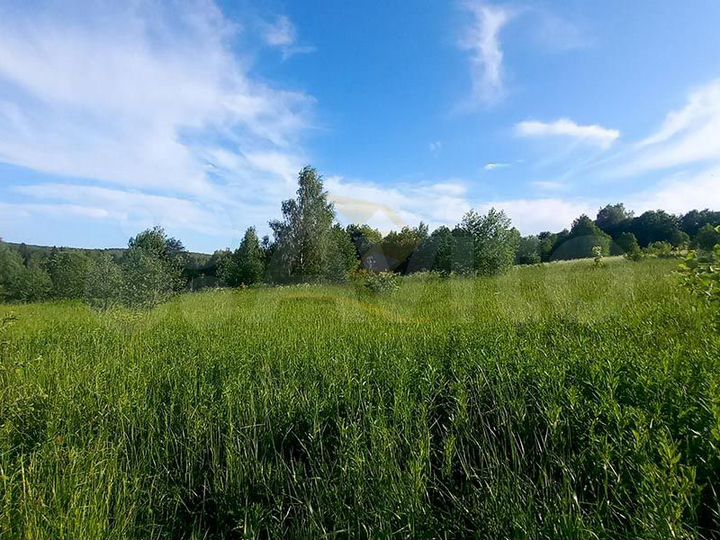 Участок 20 сот. (СНТ, ДНП)