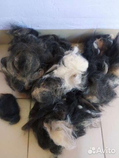 Собачья шерсть