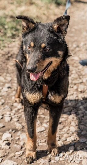 Кира для души