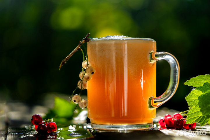 Концентрат квасного сусла на 25 л кваса