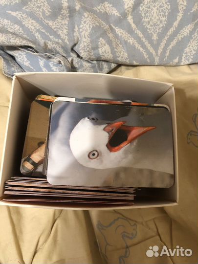 Игра в мемы